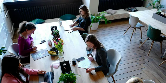 A small team working on laptops around a long shared table, seen from above